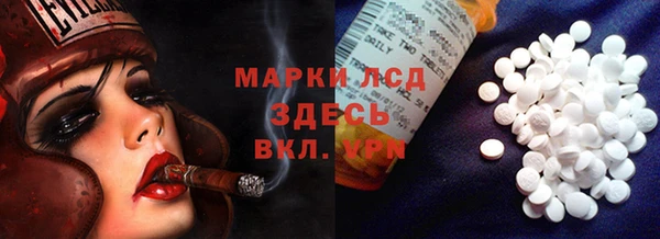 гашик Осташков