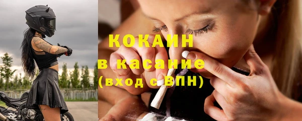 гашик Осташков