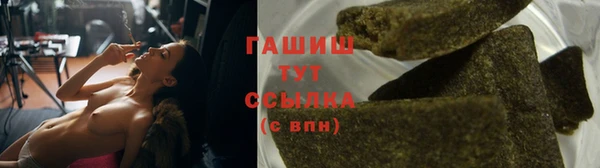 гашик Осташков