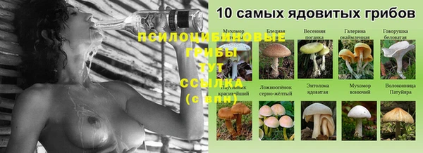 мет Осинники