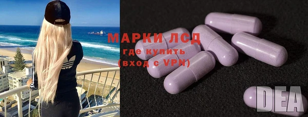 гашик Осташков
