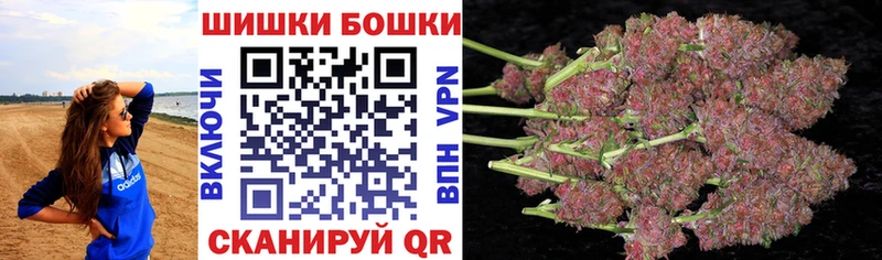 Бошки Шишки гибрид  Тайга 